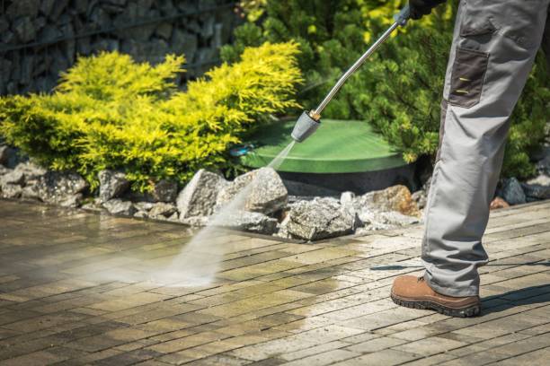 Best House Exterior Washing  in Perkasie, PA